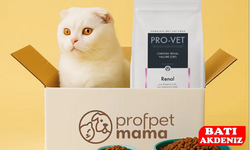 En Kaliteli Kedi Maması Nasıl Seçilir?