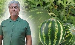 Antalya'da karpuzlar tarlada kaldı! Üretici gelecek yıldan endişeli!