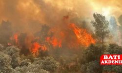 Eskişehir Seyitgazi’de 10 orman işçisi şehit oldu