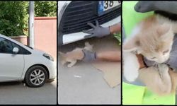 Temizlik görevlisi, otomobilin motor bölümüne sıkışan kediyi kurtardı