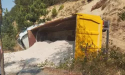 Kamyonunu bilerek devirdi, faciayı önledi