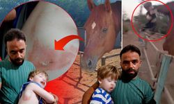 Antalya'da korkutan anlar! 3 yaşındaki çocuk at saldırısına uğradı