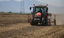 Türkiye Tarımda Son 24 Yılın Dip Noktasını Gördü!