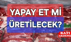 Bakan Yumaklı’dan “yapay et” iddialarına cevap