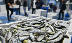 Balık sezonu başladı, denetimler sıklaştı