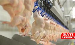 Rekabet Kurulu’ndan Piliç Üreticilerine 3,7 Milyar TL Ceza