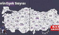 Konya, Türkiye’nin “Eşek Başkenti” Oldu