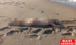 Sahilde Çıplak Erkek Bedeni Bulundu: Soruşturma Başlatıldı