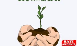 Sivil Toplum Kuruluşlarından Fidanlandırma Etkinliği: 21 Kasım’da Antalya Yeşerecek