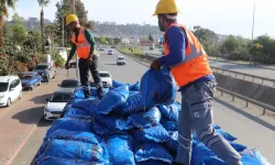 Antalya Büyükşehir'den kömüre sıkı denetim