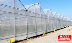 1400 Dekarlık Dev Sera Alanı Kuruluyor