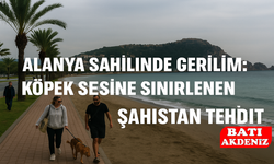 Alanya Sahilinde Gerilim: Köpek Sesine Sinirlenen Şahıstan Tehdit