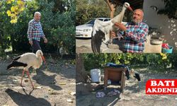 Yaralı Leylek Koruma Altına Alındı