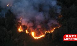 Artvin Hopa’da Örtü Yangını: Ekipler Alevlere Müdahale Ediyor