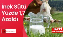 Toplanan İnek sütü Eylül'de yüzde 1,7 azaldı