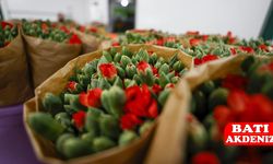 Antalya ve Isparta’dan Avrupa’ya 12 Milyon Kesme Çiçek İhracatı