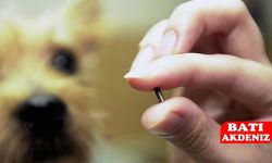 Kumluca’da Kırsaldaki Köpek ve Kediler İçin Kayıt ve Kimliklendirme Uyarısı