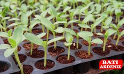 Kumluca Fide Üretim Tesisleri Tarımın Geleceğini Şekillendiriyor