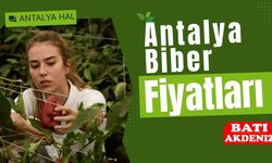 Antalya'da halinde biber ne kadar?