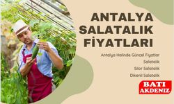 Antalya Salatalık Fiyatları Bugün