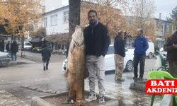 Elazığ’da Murat Nehri’nden “Dev Turna” — 60 Kiloluk Büyük Av