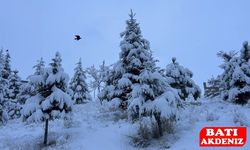 Buz Gibi Havaya ve Sağanak Yağışa Hazır Olun! AKOM’dan İstanbul İçin Yılbaşı Uyarısı