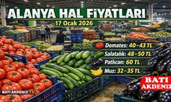 Alanya Hal Fiyatları Güncellendi (17 Ocak 2026)