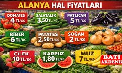 Alanya Hal Fiyatları Güncellendi