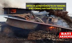 Antalya'da Ev Yangını: 3 Büyükbaş Telef Oldu