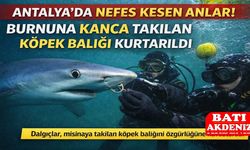 Antalya Denizlerinde Can Pazarı: Dalgıçlar Köpek Balığını Son Anda Kurtardı