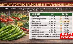 Antalya Toptancı Halinde Sebze Fiyatları Güncellendi