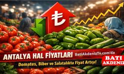 Antalya Hal Fiyatları Güncellendi: 24 ocak cumartesi Sebze Fiyatları