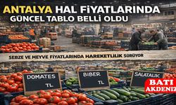 Antalya Hal Fiyatlarında Güncel Tablo Belli Oldu