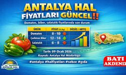 Antalya Halinde 9 Ocak 2026 Güncel Piyasa Fiyatları Açıklandı