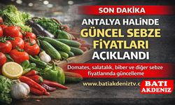 Antalya Halinde Güncel Sebze Fiyatları