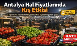 Antalya Hal Fiyatlarında Kış Etkisi: Sebze üretimi düştü Fiyatlar yükselişte