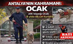Antalya’nın Sessiz Kahramanı: JAK Köpeği Ocak