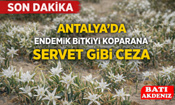 Antalya’da Endemik Bitkiyi Koparana Servet Gibi Ceza