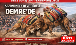 Şap Nedeniyle Ertelenen Deve Güreşleri Yeniden Başlıyor