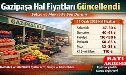 Gazipaşa Hal Fiyatları Güncellendi: Sebze ve Meyvede Son Durum