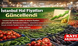 İstanbul Hal Fiyatları Güncellendi