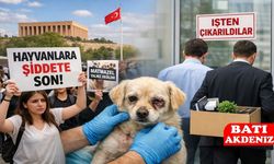 Matmazel'i darbeden sorumluların iş akitleri feshedildi