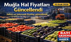 Muğla Hal Fiyatları Güncellendi | 15 Ocak 2026