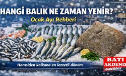 Hangi Balık Ne Zaman Yenir? Ocak Ayı Rehberi