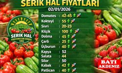 Serik Hali’nde Fiyatlar Yükselişte: Çilek 140 TL’ye Dayandı