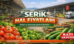 Serik Hal Fiyatları Güncellendi