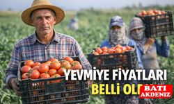 Tarım İşçileri İçin 2026 Yılı Yevmiye Tavsiye Kararı Açıklandı