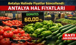 Antalya Halinde Fiyatlar Güncellendi: 3 Şubat 2026 Salı