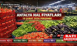Antalya Hal Fiyatları 19 Şubat 2026 Perşembe