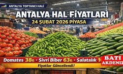 Antalya Hal Fiyatları 24 Şubat 2026 Piyasa
